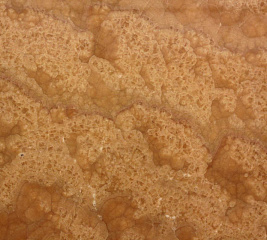 Заказать Оранж Оникс (Orange Onice)